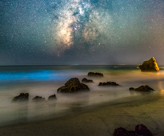 Malibu InstaMeet w/ Tokina Ambassador Tracy Lee